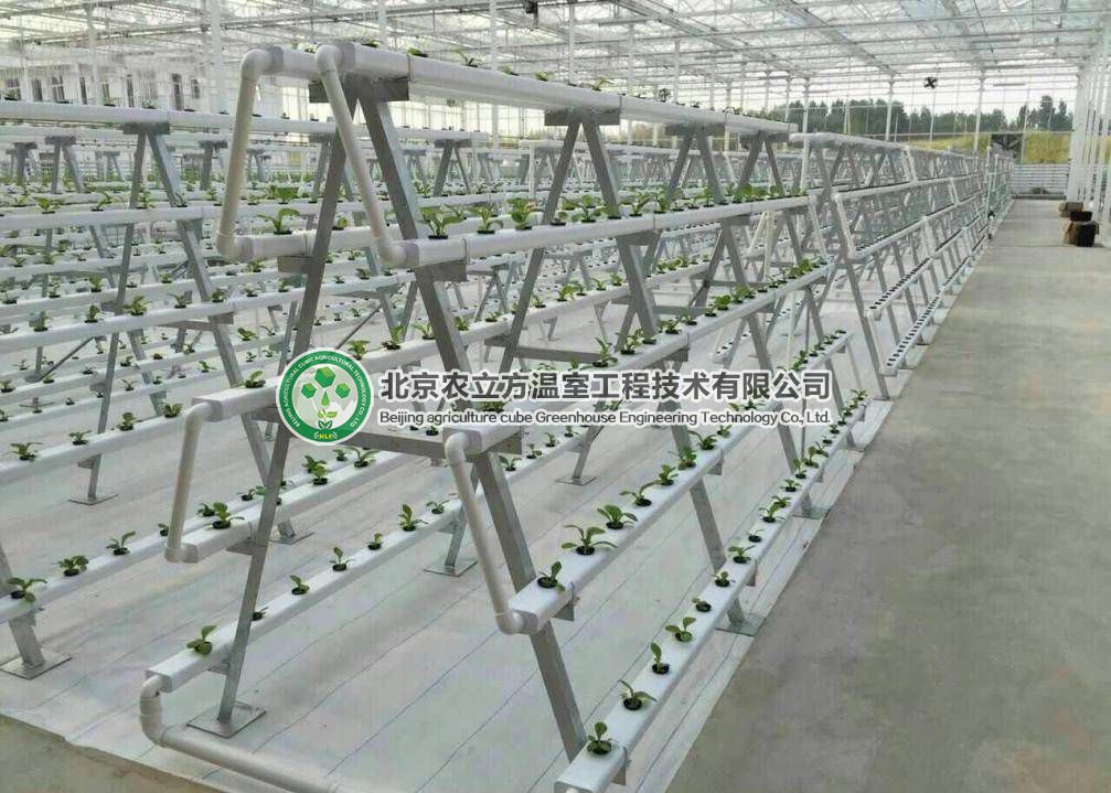 立體無土栽培設備，菜居然能種在空中！ 